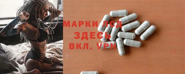 индика Нефтегорск