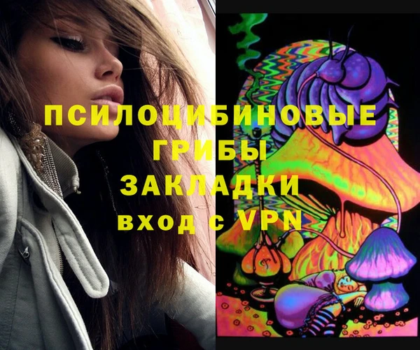 индика Нефтегорск