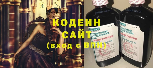 индика Нефтегорск