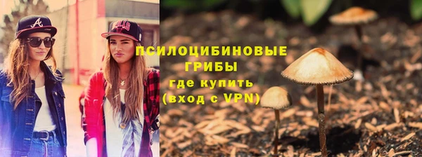 индика Нефтегорск
