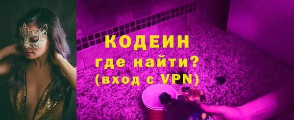гидра Туринск