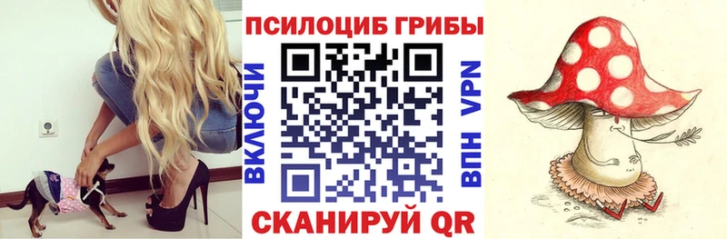 Псилоцибиновые грибы Psilocybine cubensis  Разумное 